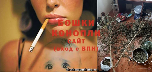 тгк Володарск