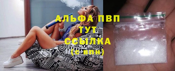 тгк Володарск