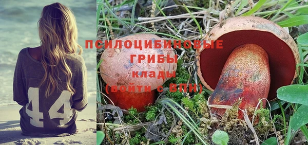 тгк Володарск